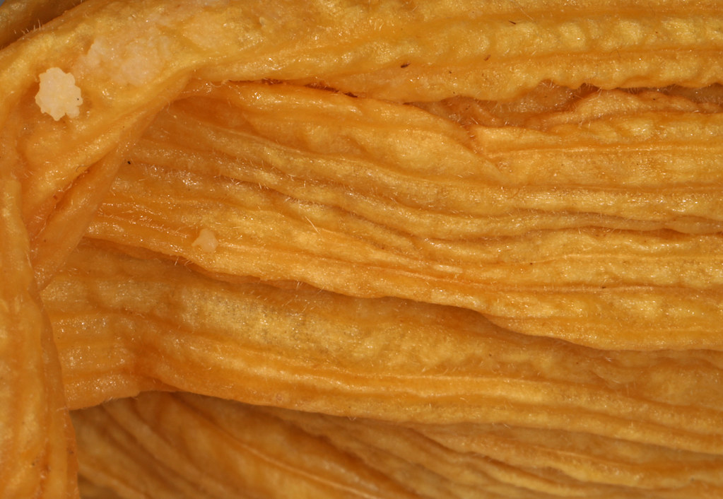 Close-up of tamales wrapped in corn husks